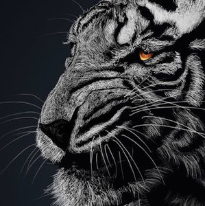 Meet your Posher, Don